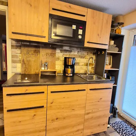 Barlter Muehle Mit Sauna Und Terrasse Apartment Barlt
